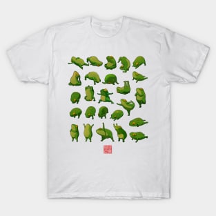 Yoga Frogs Poster No Text T-Shirt